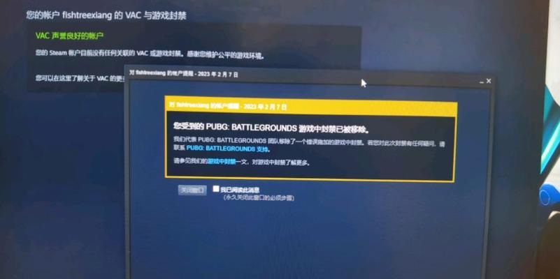 绝地求生封号记录如何查询？查询封号记录有什么用？-第2张图片-百团游戏