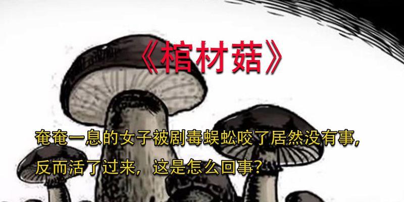 剧毒之咬的战斗策略是什么？-第2张图片-百团游戏