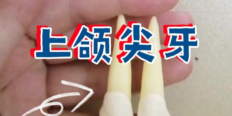 原神稚嫩的尖牙哪里多？如何快速收集稚嫩的尖牙？-第3张图片-百团游戏