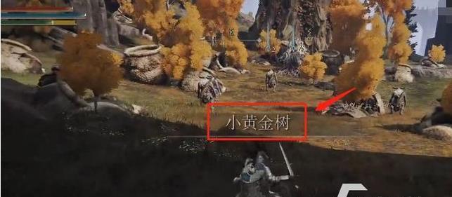 梦幻西游贾斯汀阿奶入手方法是什么？-第1张图片-百团游戏