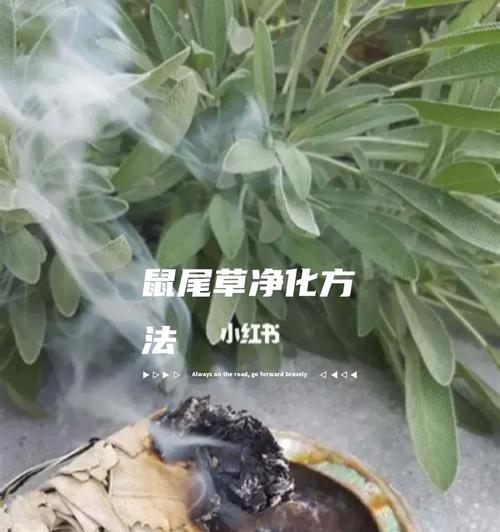 我的世界中鼠尾草如何点燃？点燃鼠尾草有什么效果？-第2张图片-百团游戏