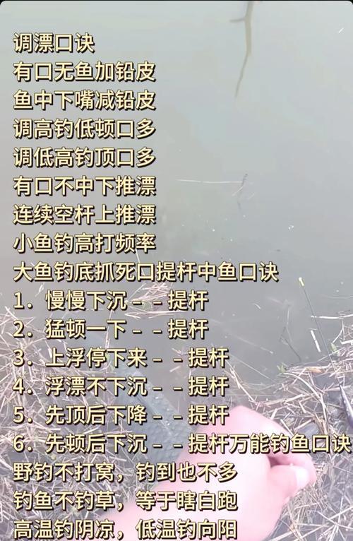 怎么钓王者荣耀？钓鱼技巧有哪些？-第1张图片-百团游戏