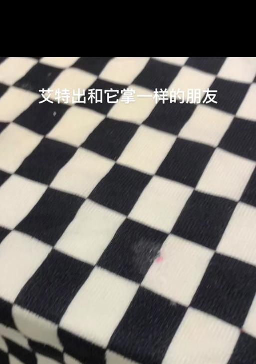 蓝龙宝宝魔兽怎么打？战斗策略和技巧有哪些？-第2张图片-百团游戏
