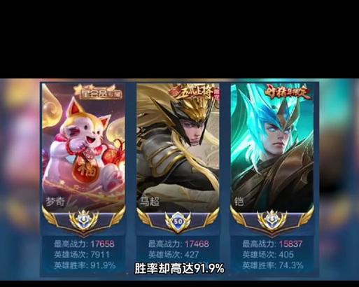 胖猫在王者荣耀中是什么英雄？如何使用？-第1张图片-百团游戏