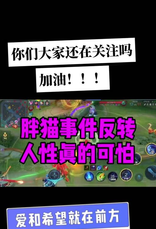 胖猫在王者荣耀中是什么英雄？如何使用？-第3张图片-百团游戏