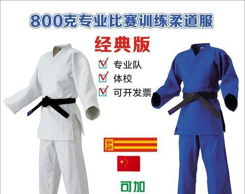 柔道家最适合的装备甲是什么？如何选择？-第2张图片-百团游戏