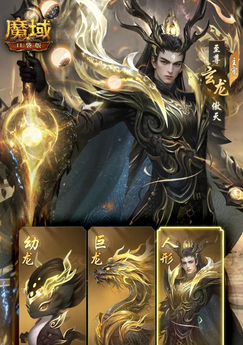 如何选择魔域龙年兽骑士的最佳技能组合？-第2张图片-百团游戏