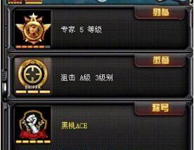 CF勋章设置方法是什么？勋章如何影响游戏体验？-第1张图片-百团游戏