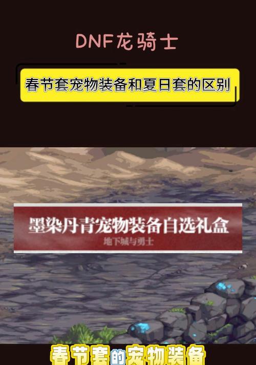 dnf宠物装备种类有哪些？宠物装备对宠物有何增益？-第2张图片-百团游戏