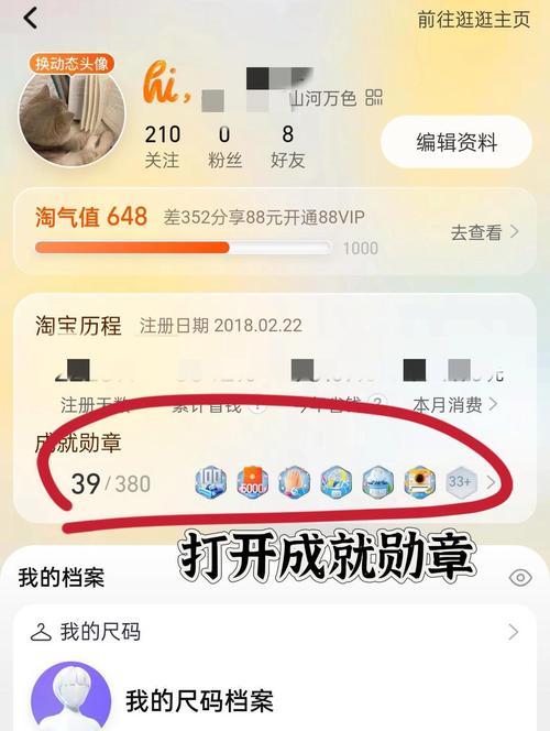 消费等级如何查看？有什么查看方法？-第1张图片-百团游戏