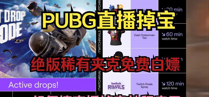 绝地求生中白色战队夹克如何获得？获取途径是什么？-第1张图片-百团游戏