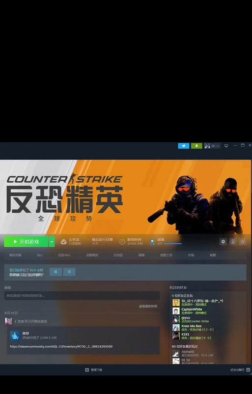 反恐精英单机版代码如何使用？代码使用后有什么效果？-第2张图片-百团游戏