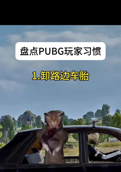 绝地求生中车轮模糊效果如何调整？-第1张图片-百团游戏