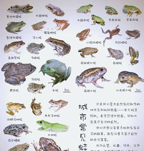 寻味中国之旅（味蕾之旅的欢乐时光）-第3张图片-百团游戏