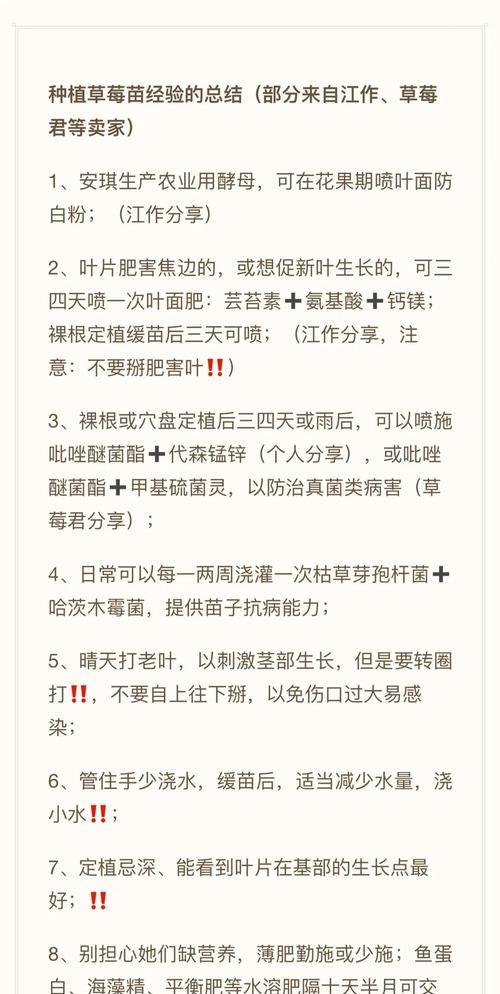 以小森生活（学会这些技巧）-第1张图片-百团游戏