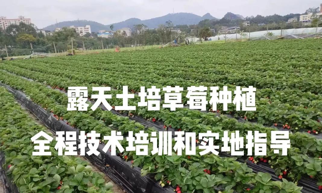 以小森生活（学会这些技巧）-第3张图片-百团游戏