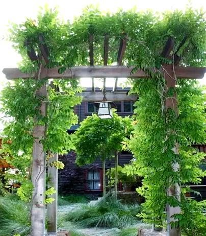 《花田小院庭院搭配指南》（打造属于你的花海乐园）-第1张图片-百团游戏