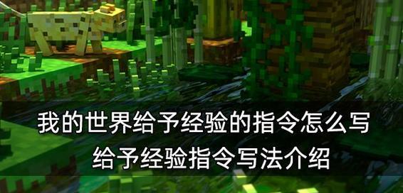 我的世界菌丝的神奇作用（探秘菌丝的多种用途）-第3张图片-百团游戏