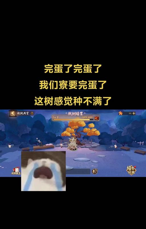 阴阳师捉小号的正确方法是什么？-第2张图片-百团游戏