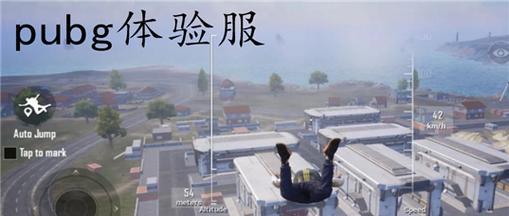 绝地求生印度服的选择方法是什么？有哪些注意事项？-第1张图片-百团游戏