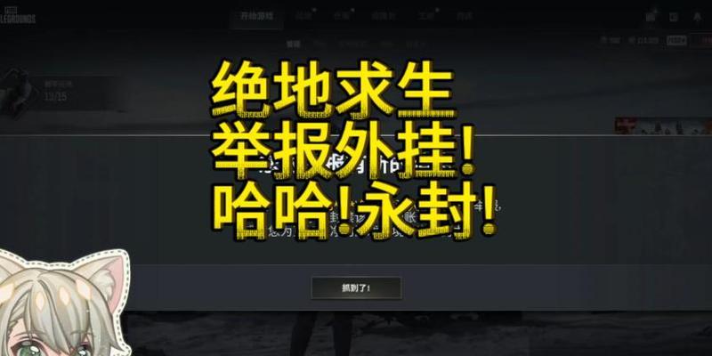 绝地求生中如何举报违规玩家？-第2张图片-百团游戏
