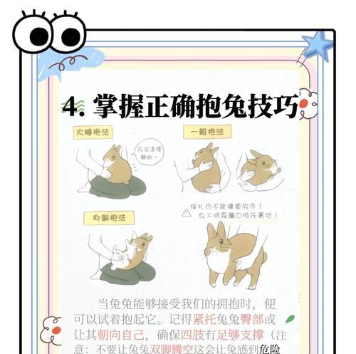 兔子五法的正确打法是什么？有哪些注意事项？-第3张图片-百团游戏