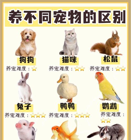 袖珍宠物的获取途径有哪些？-第1张图片-百团游戏