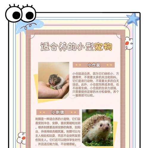 袖珍宠物的获取途径有哪些？-第3张图片-百团游戏