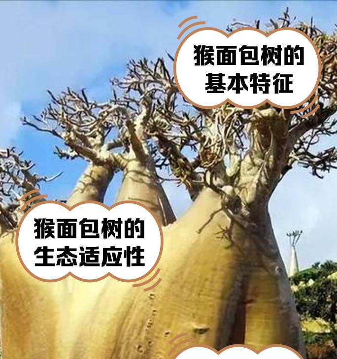 手工星球之猴面包树沼泽历险记（以生存之战为背景的冒险游戏体验）-第3张图片-百团游戏