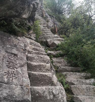 问道缥缈登云梯的玩法介绍？登云梯有哪些技巧？-第1张图片-百团游戏