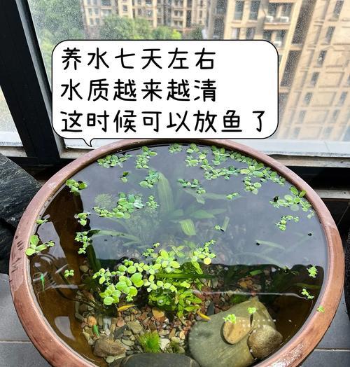 龙之谷造景开缸的开启方法是什么？-第3张图片-百团游戏