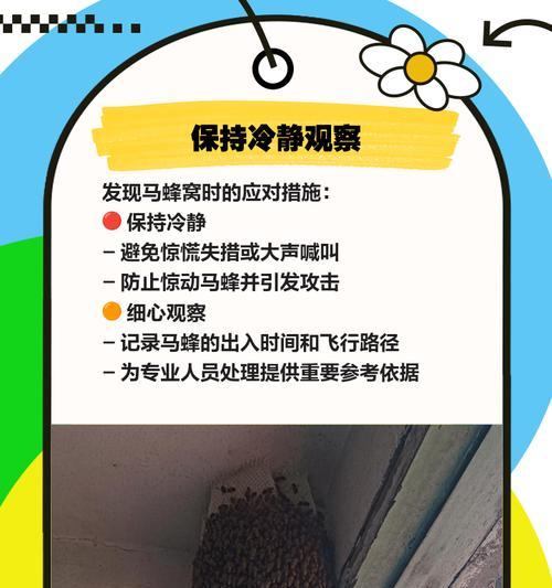 巢穴无奖励问题如何解决？-第2张图片-百团游戏
