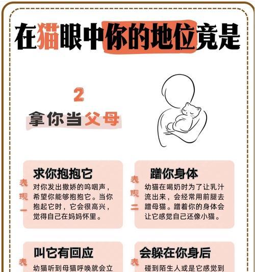 宝宝认主的条件是什么？认主后有哪些好处？-第3张图片-百团游戏