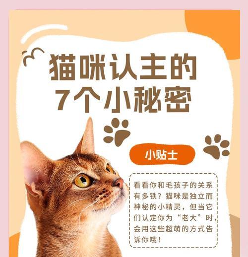 宝宝认主的条件是什么？认主后有哪些好处？-第2张图片-百团游戏
