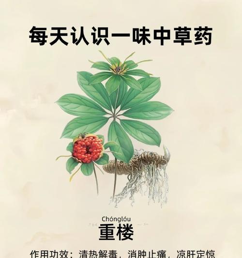 天龙八部中真重楼如何获得？真重楼的用途是什么？-第1张图片-百团游戏